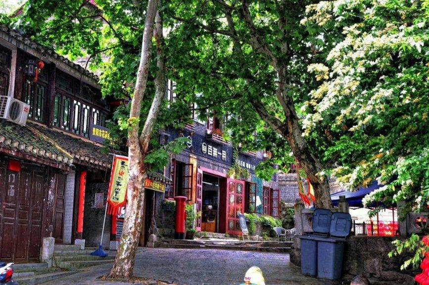 小乌龟逃亡记